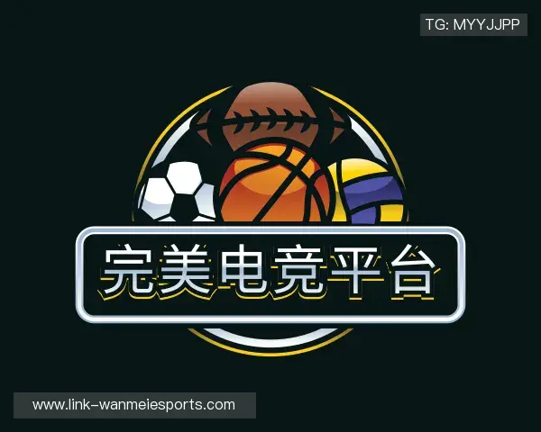 关于完美电竞